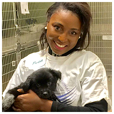 SPCA (Society for the Prevention of Cruelty to Animals)